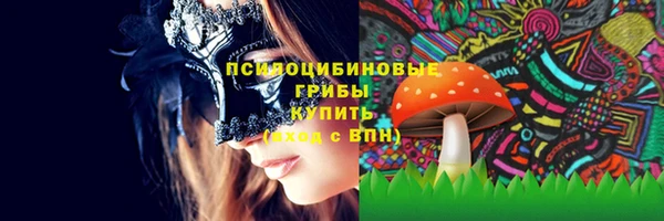спиды Бородино
