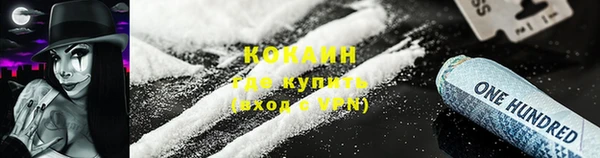 спиды Бородино
