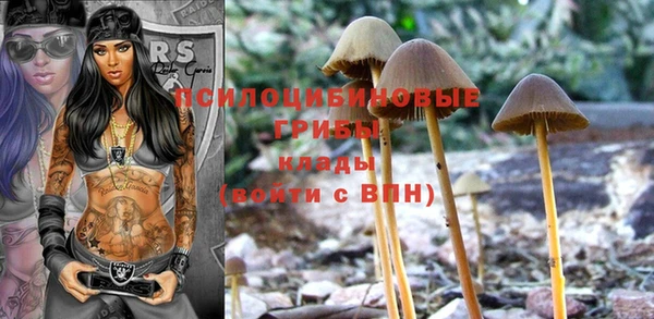спиды Бородино