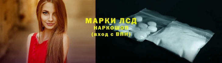 спиды Бородино
