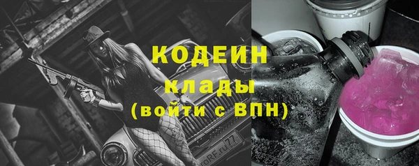 спиды Бородино