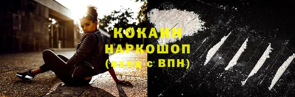 спиды Бородино