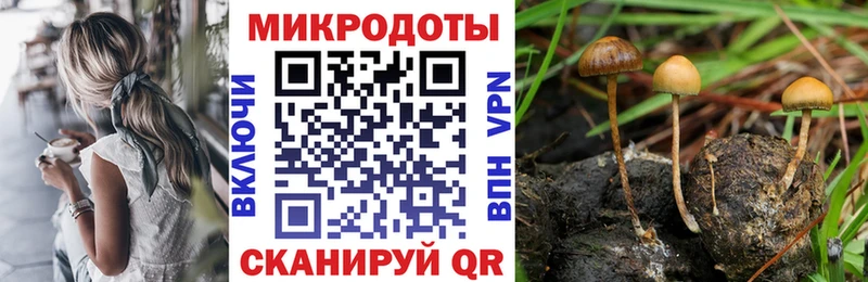 магазин    Барнаул  Галлюциногенные грибы Psilocybe 
